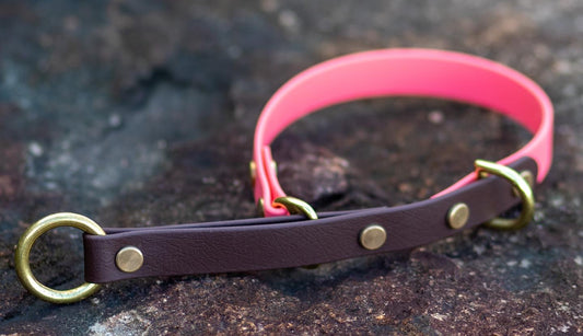 Walkabout Martingale Collar